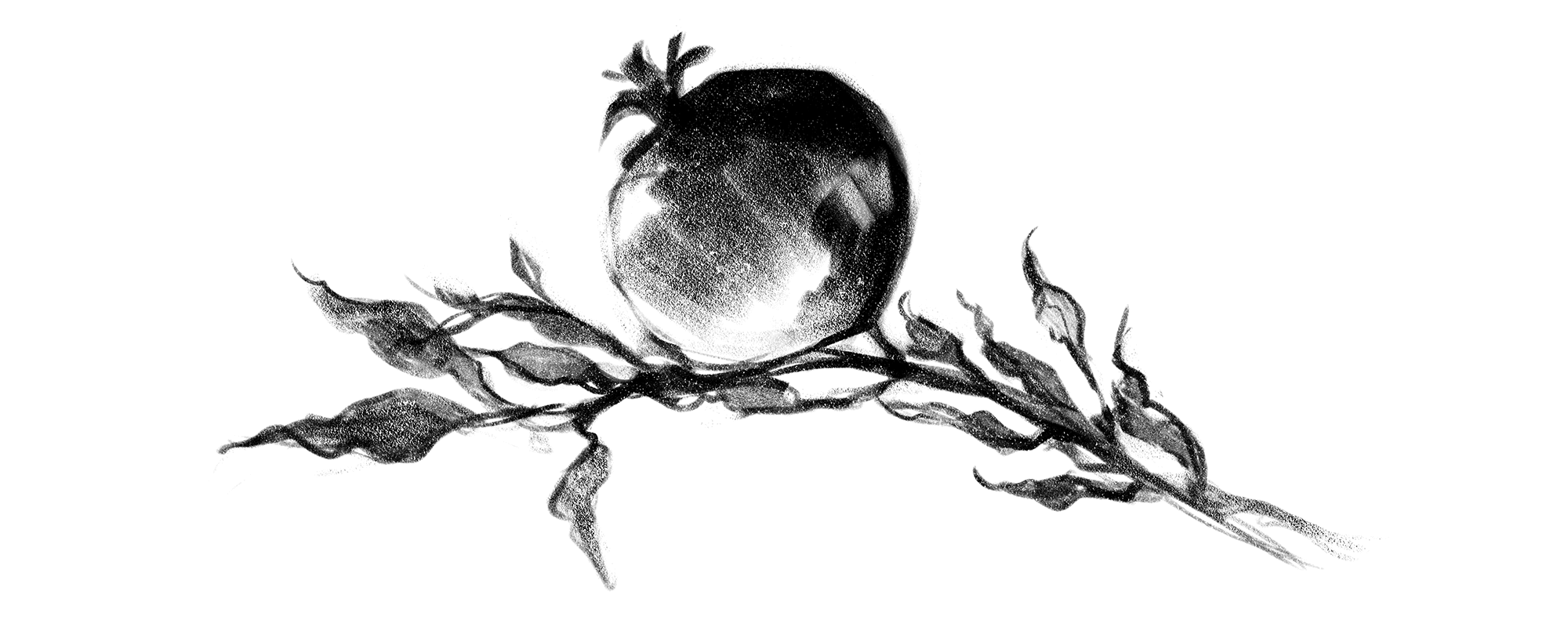 KHOTAN