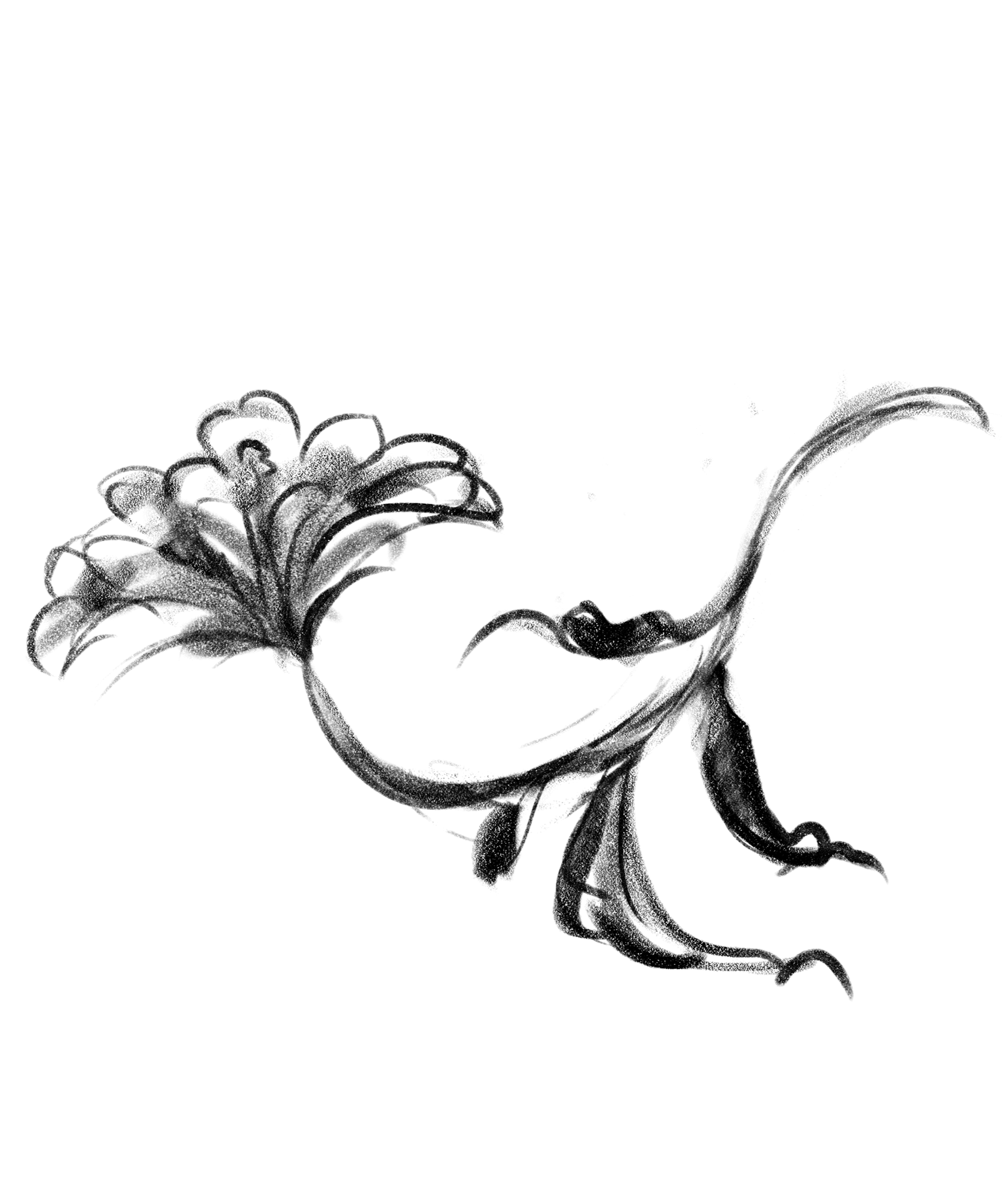 SARASA