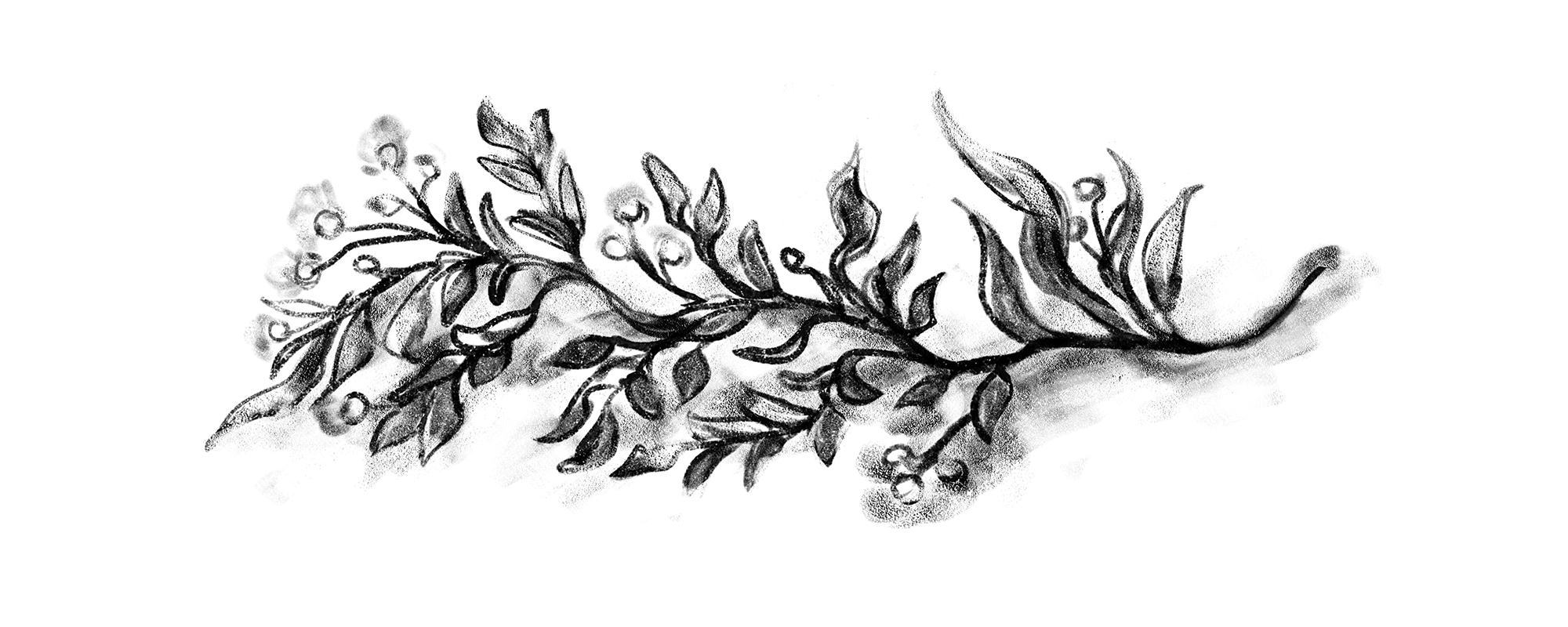 SARGAZO