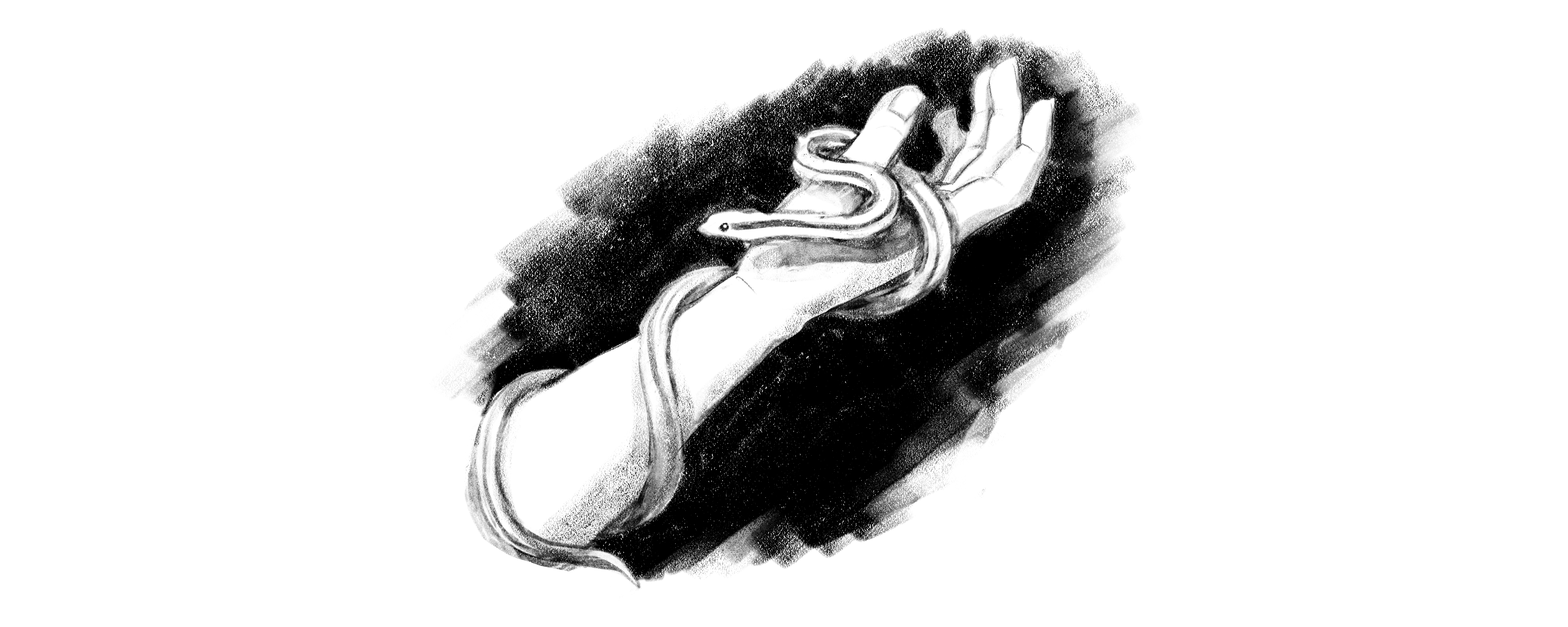 SALVADORA