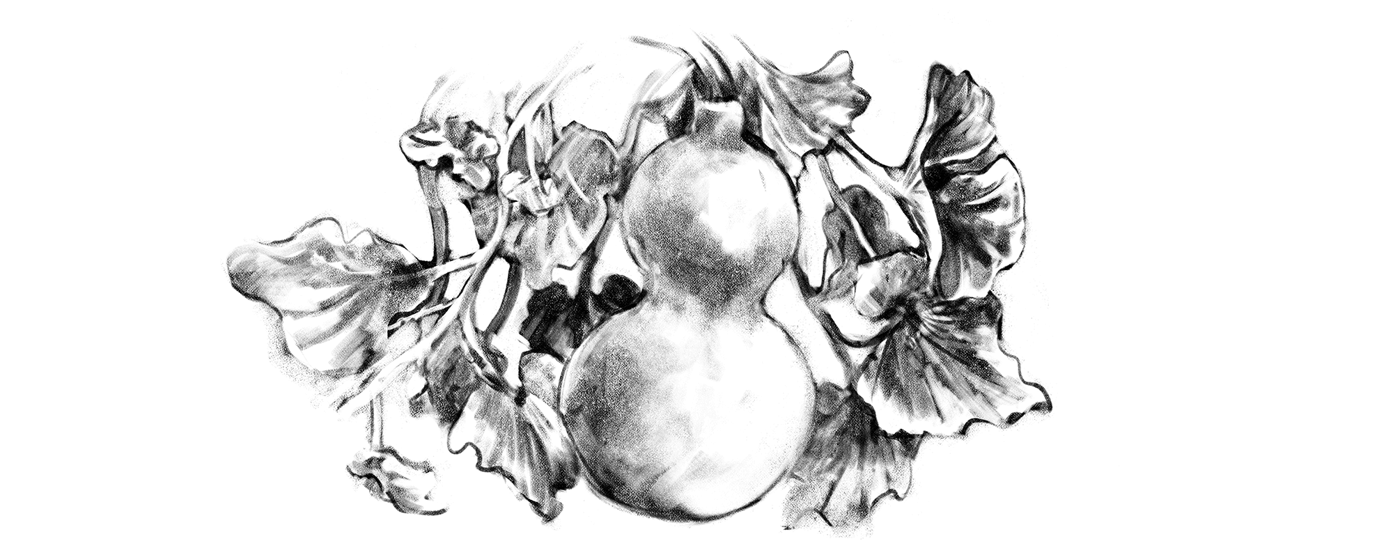 CALABASH