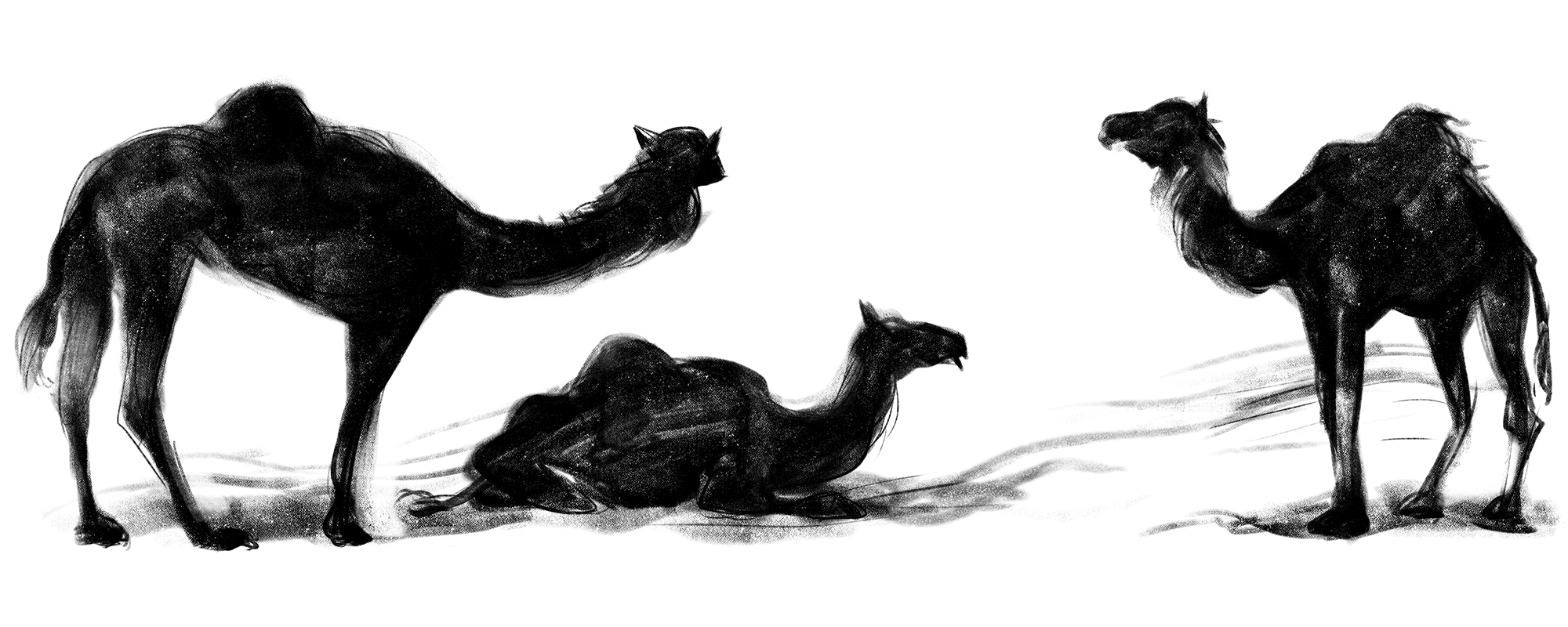 CARAVANE