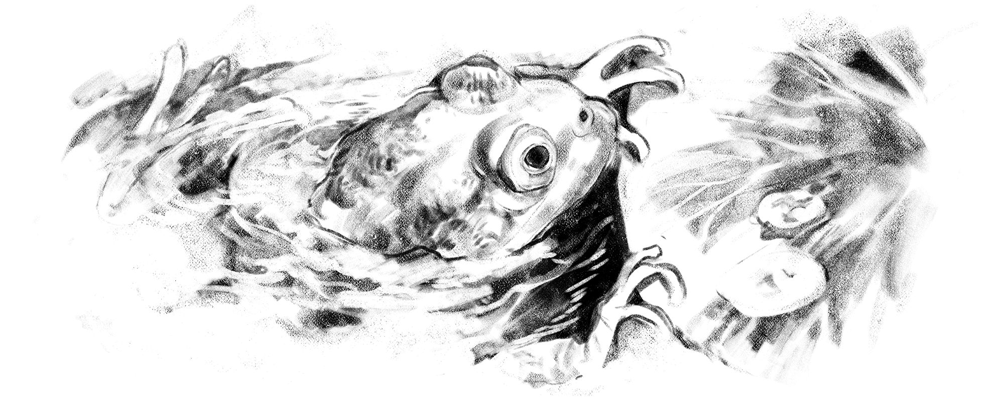 KAERU