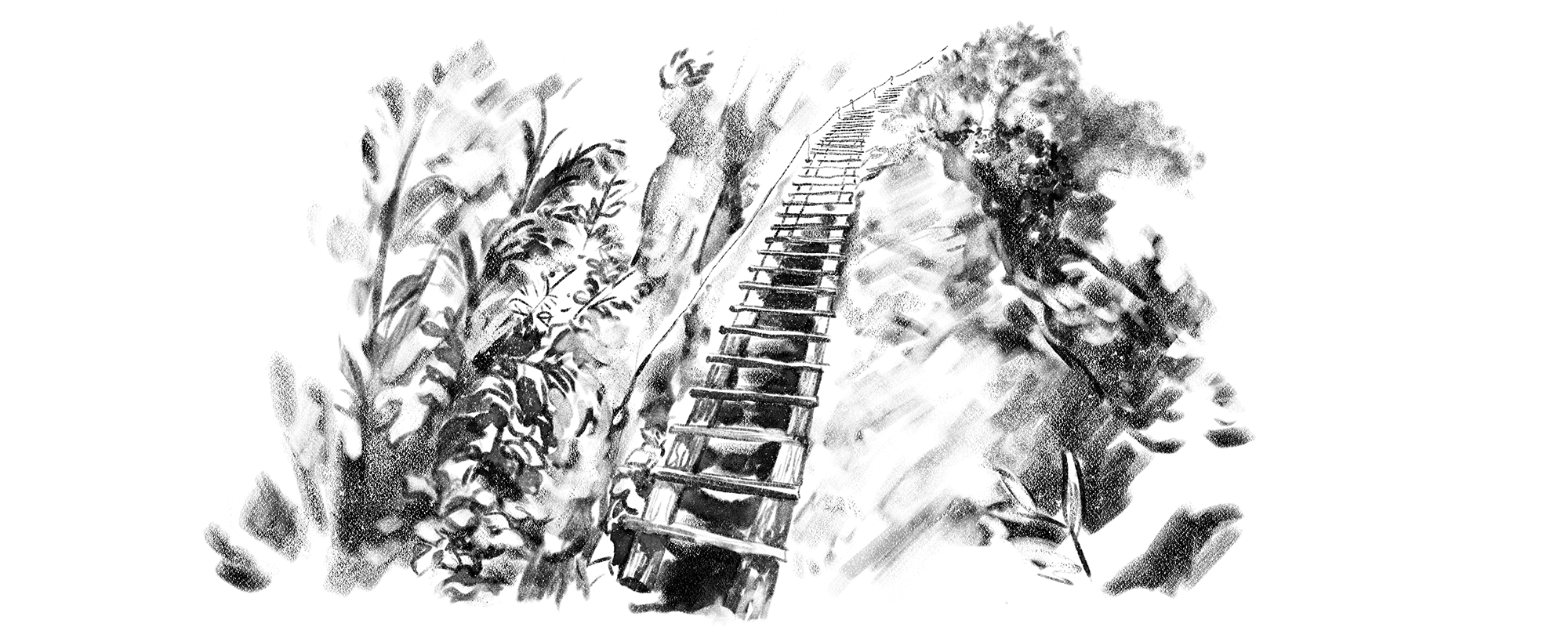 KUSI