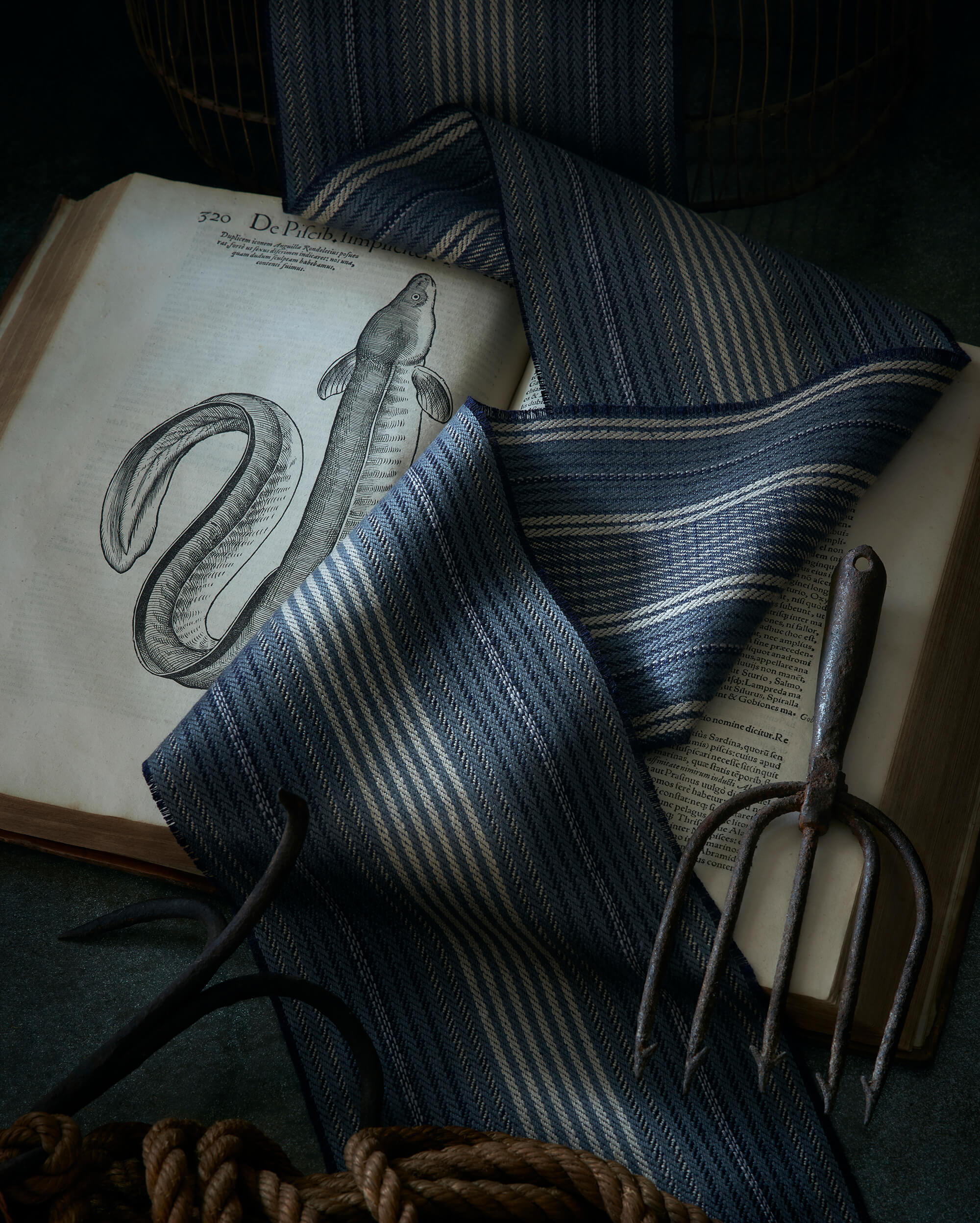 MORAY
