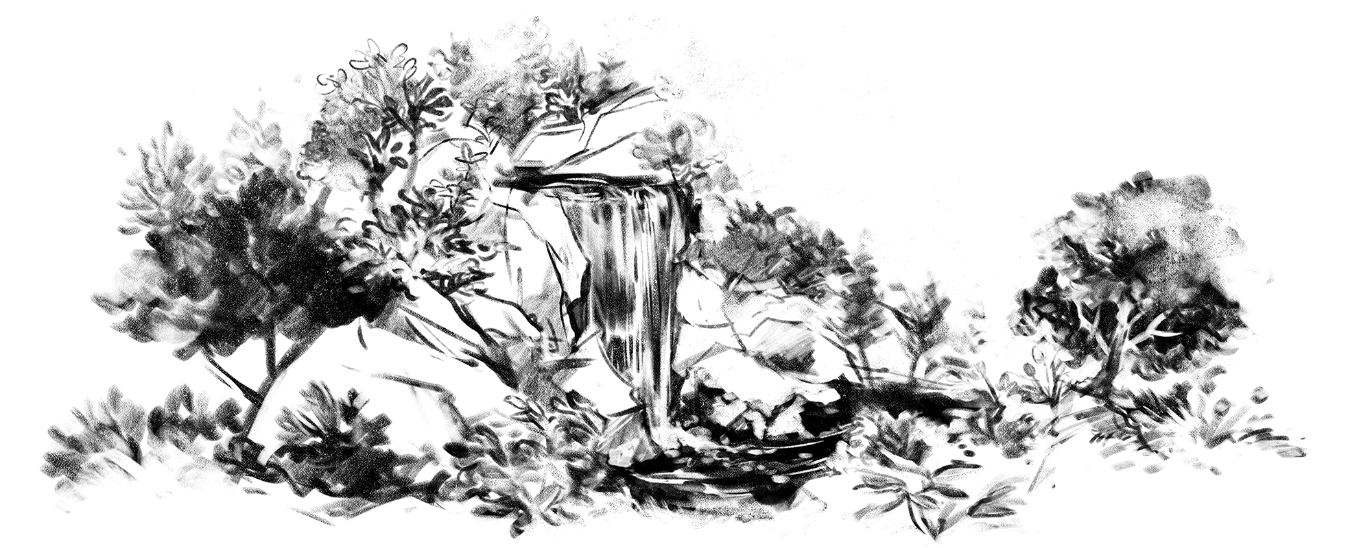 OTAKI