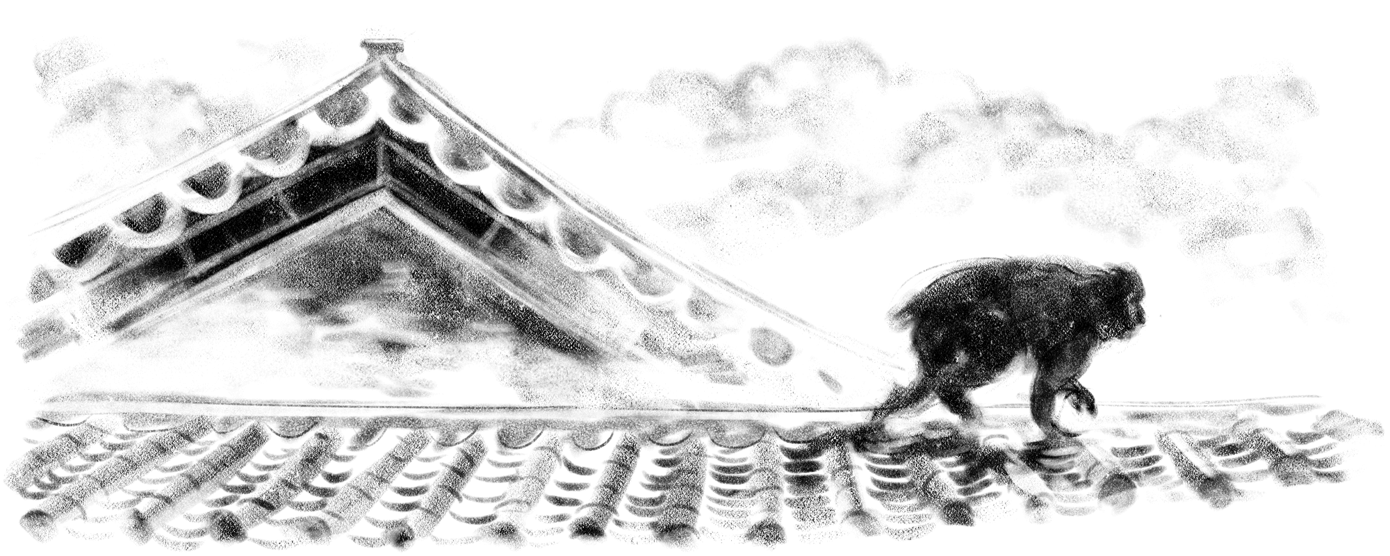 SARU