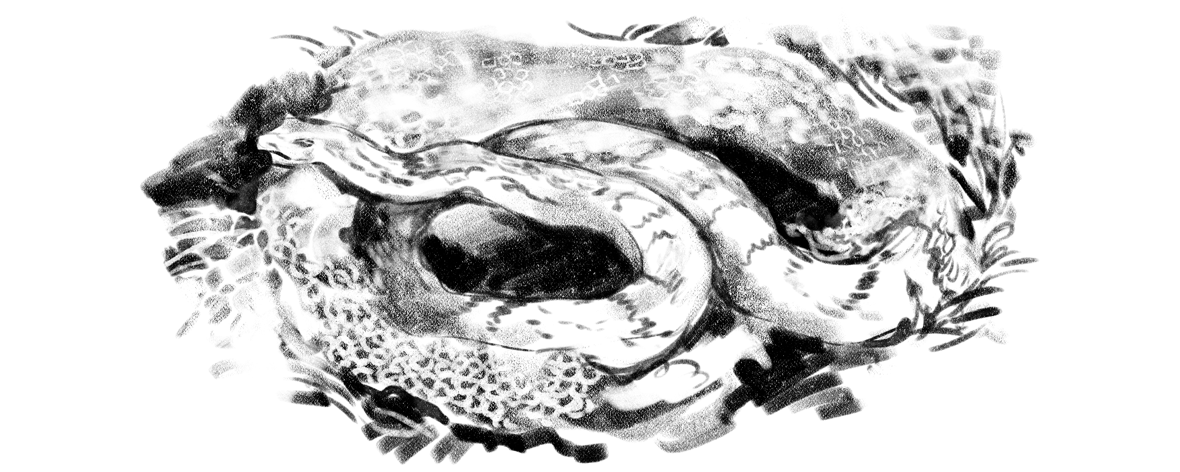 SERPENTA