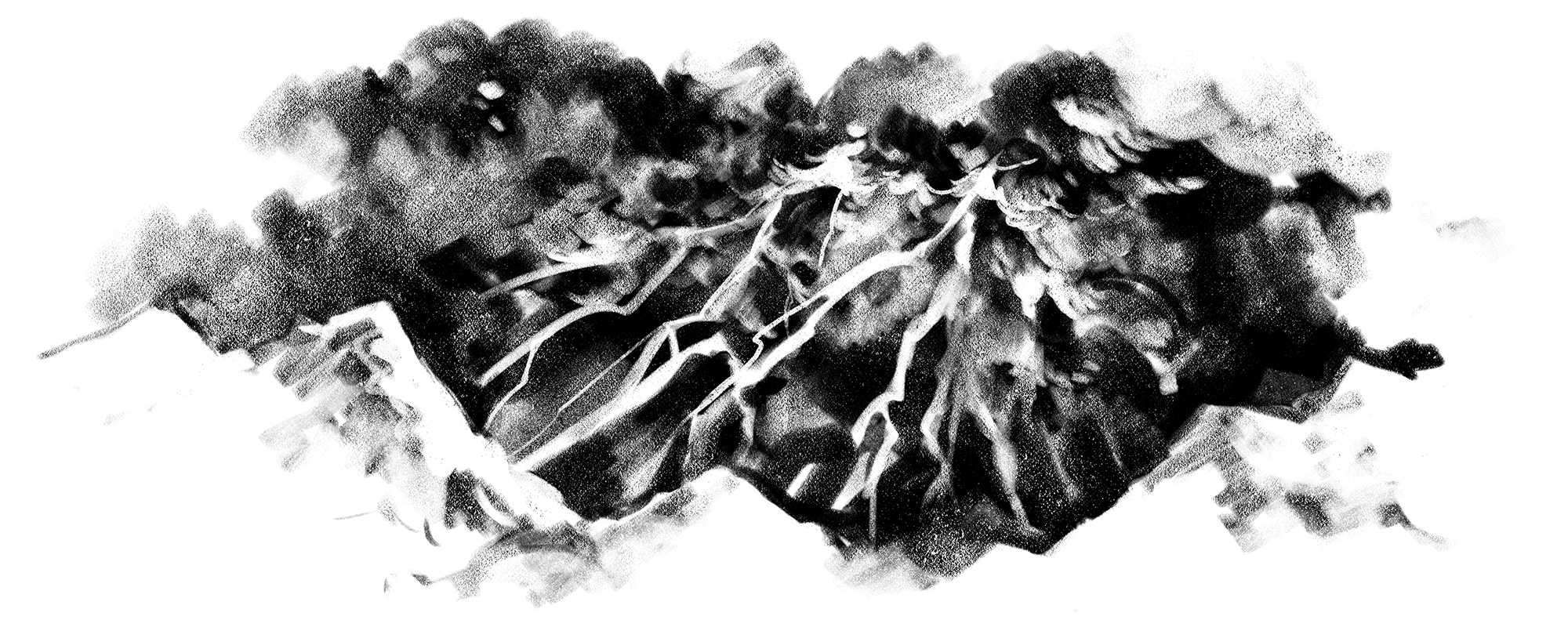 TEMPESTA