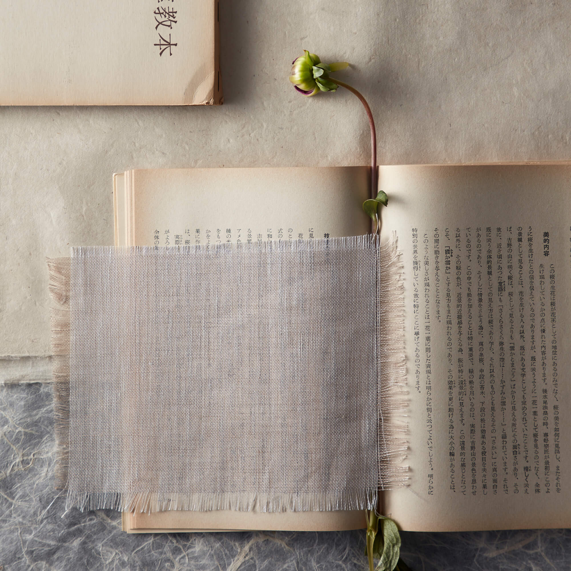 WASHI