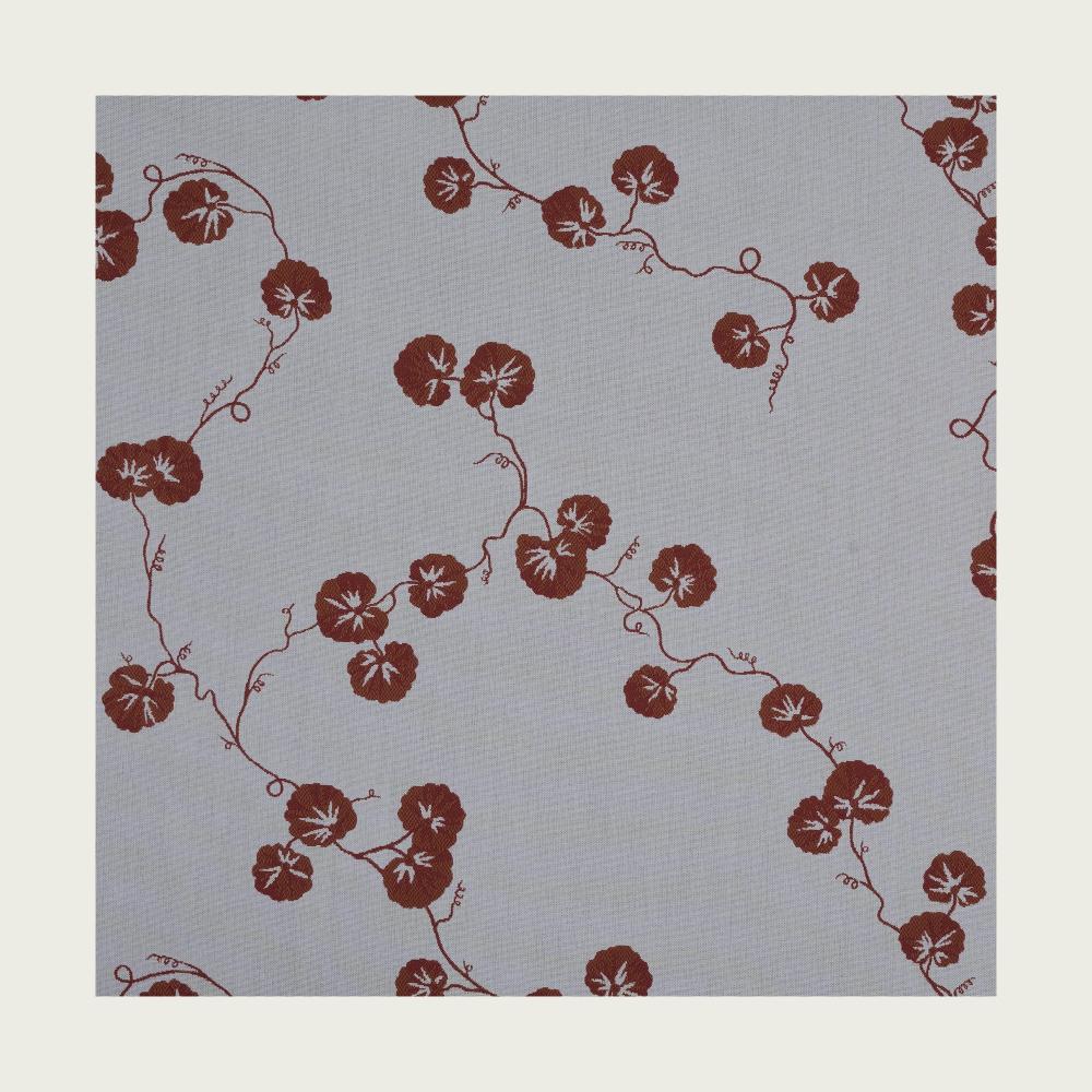 HEDERA - 04