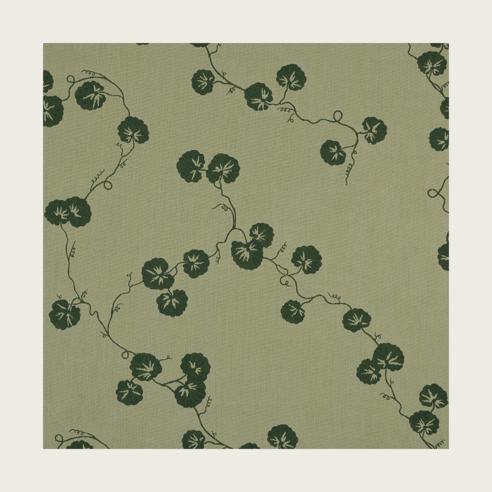 HEDERA - 05