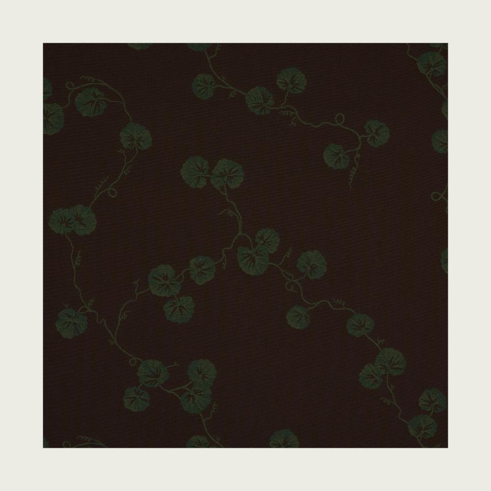 HEDERA - 06
