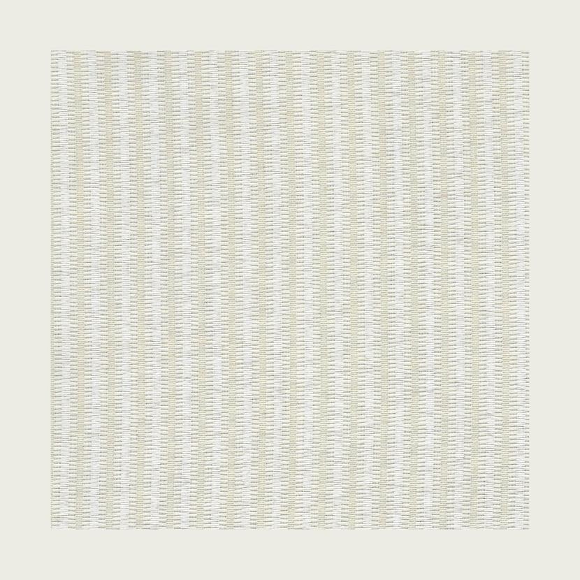 BALEEN - 01