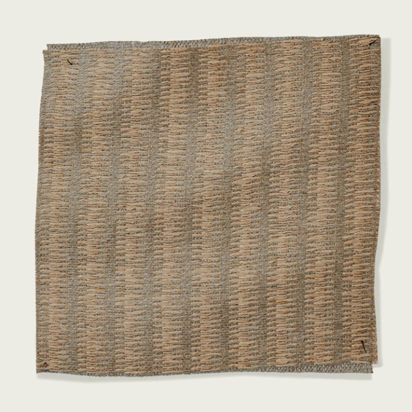 BALEEN - 02