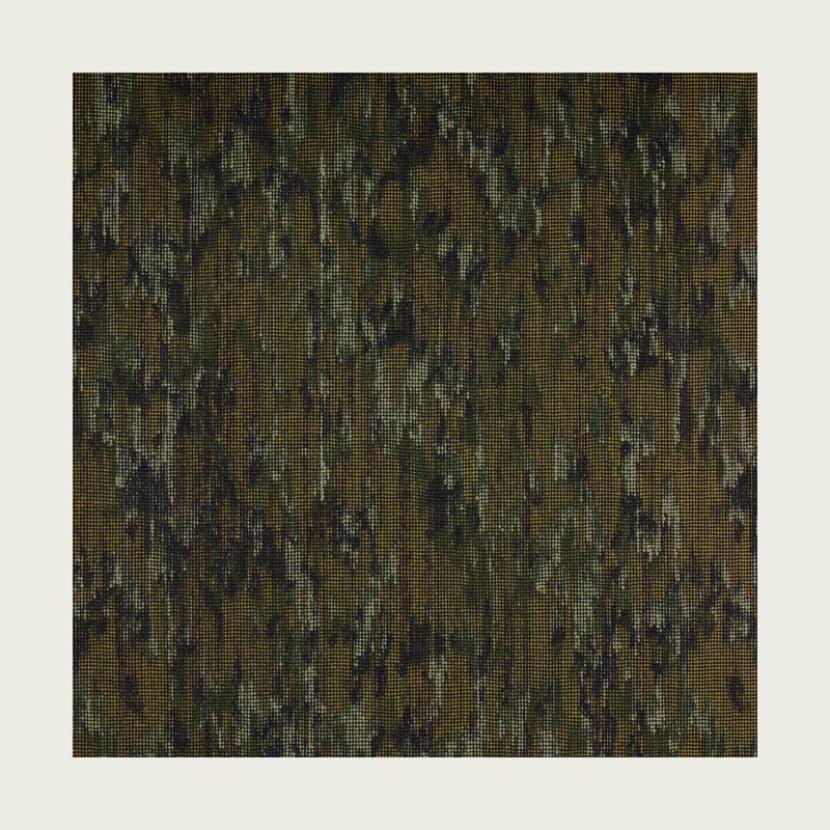 BRASSICA - 04