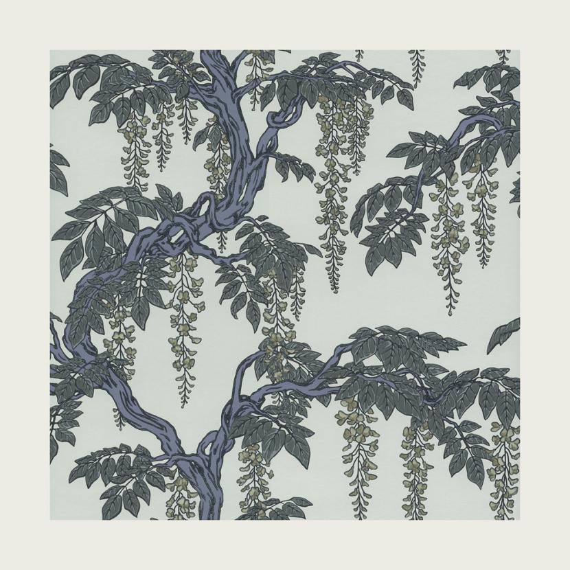 FLORIBUNDA - 02