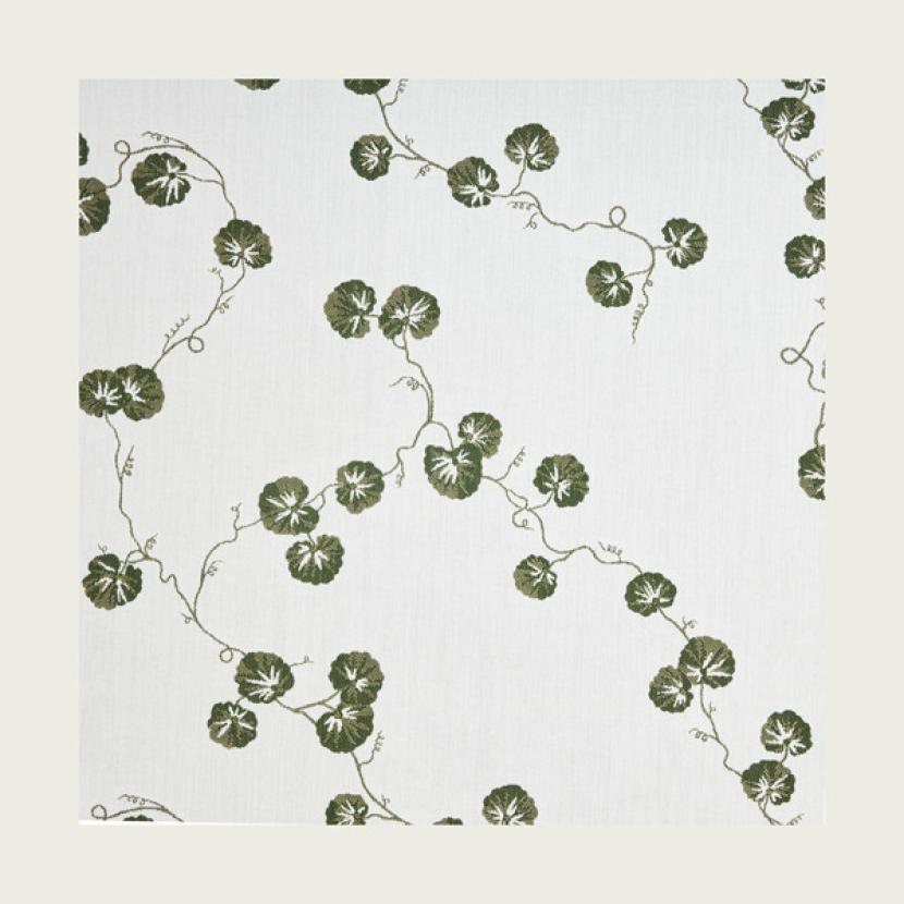 HEDERA - 01