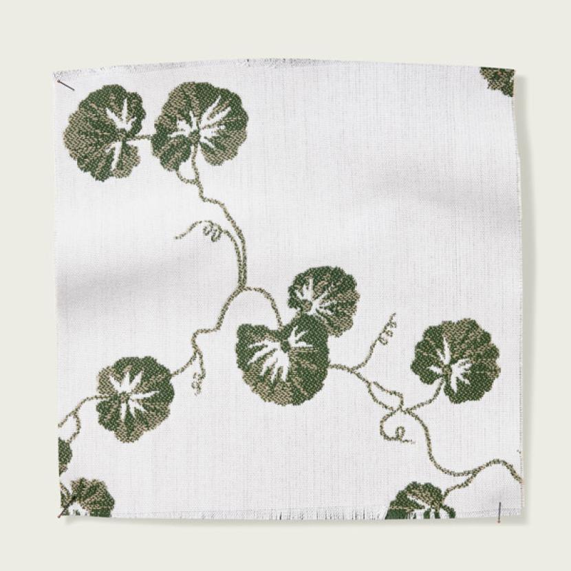 HEDERA - 01