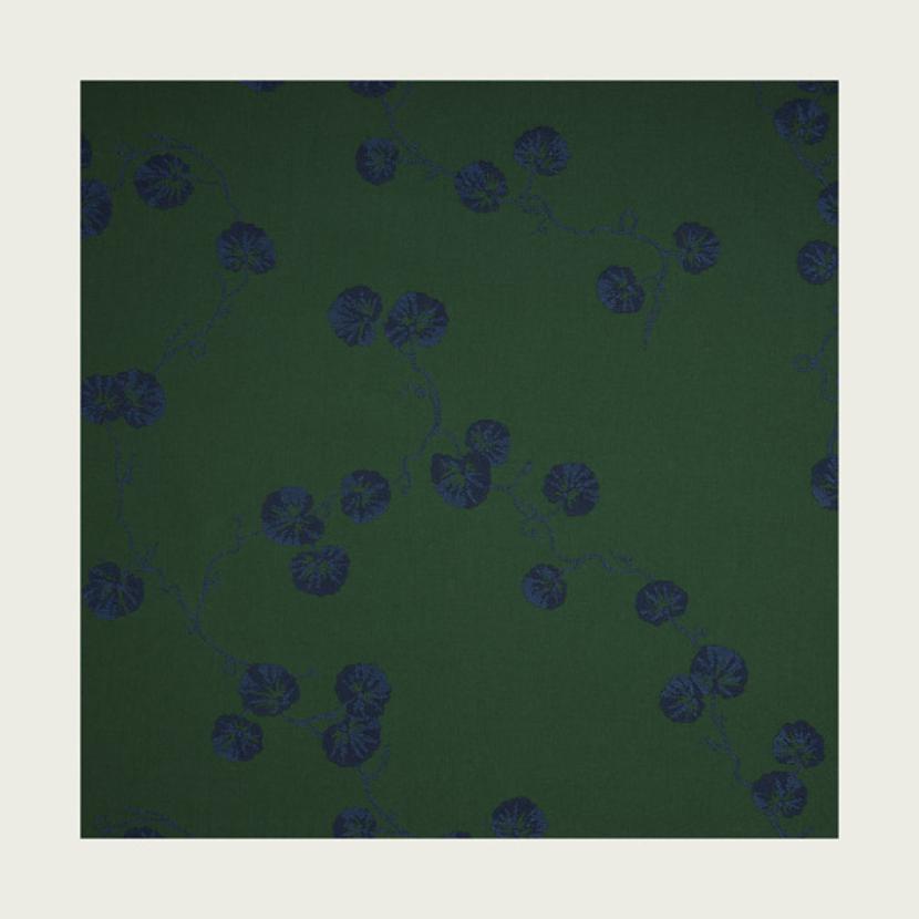 HEDERA - 02