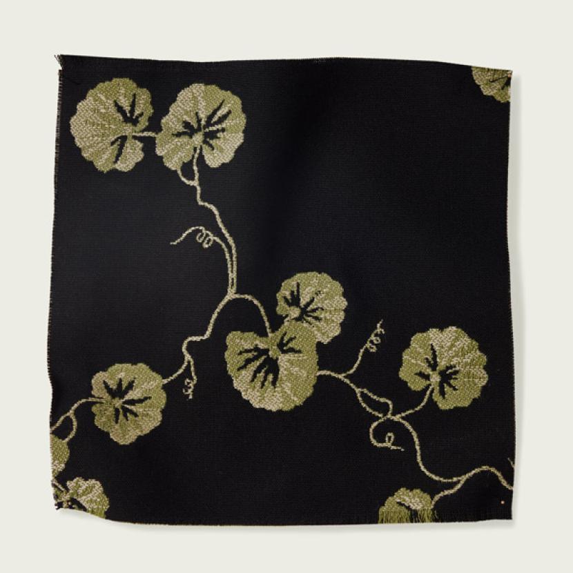 HEDERA - 03