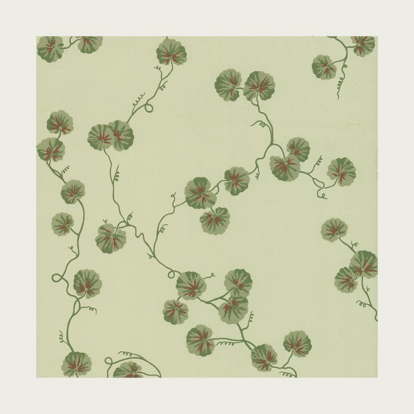 HEDERA - 01