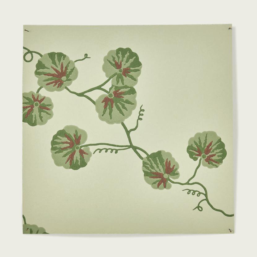 HEDERA - 01