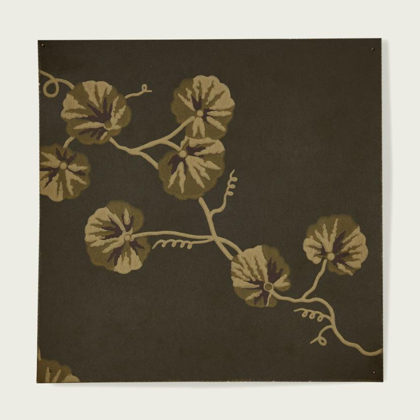 HEDERA - 02