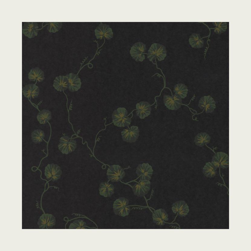 HEDERA - 03
