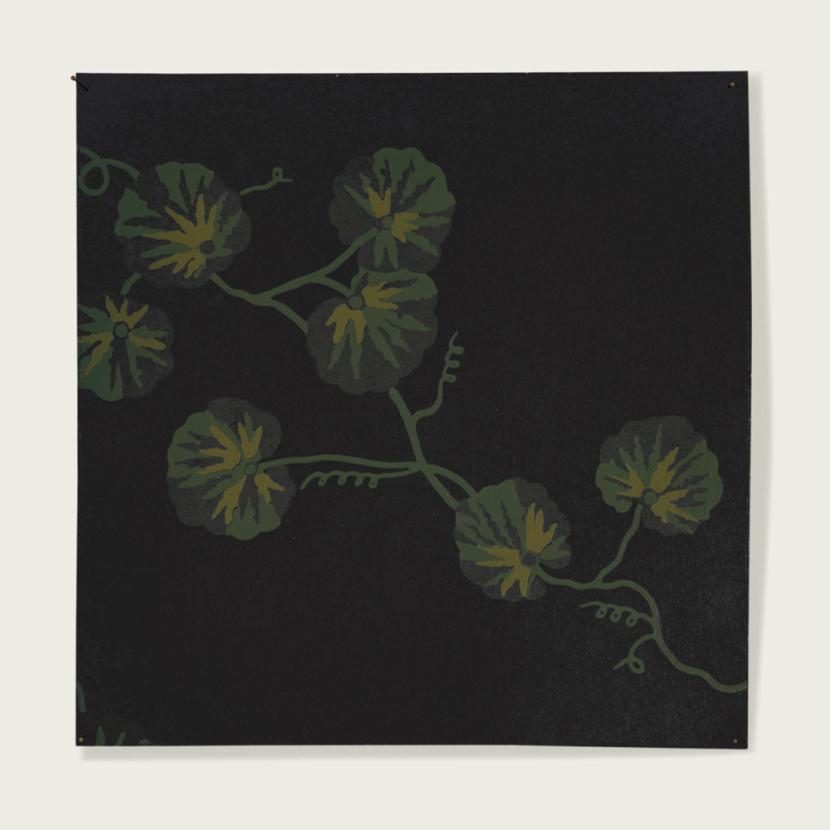HEDERA - 03