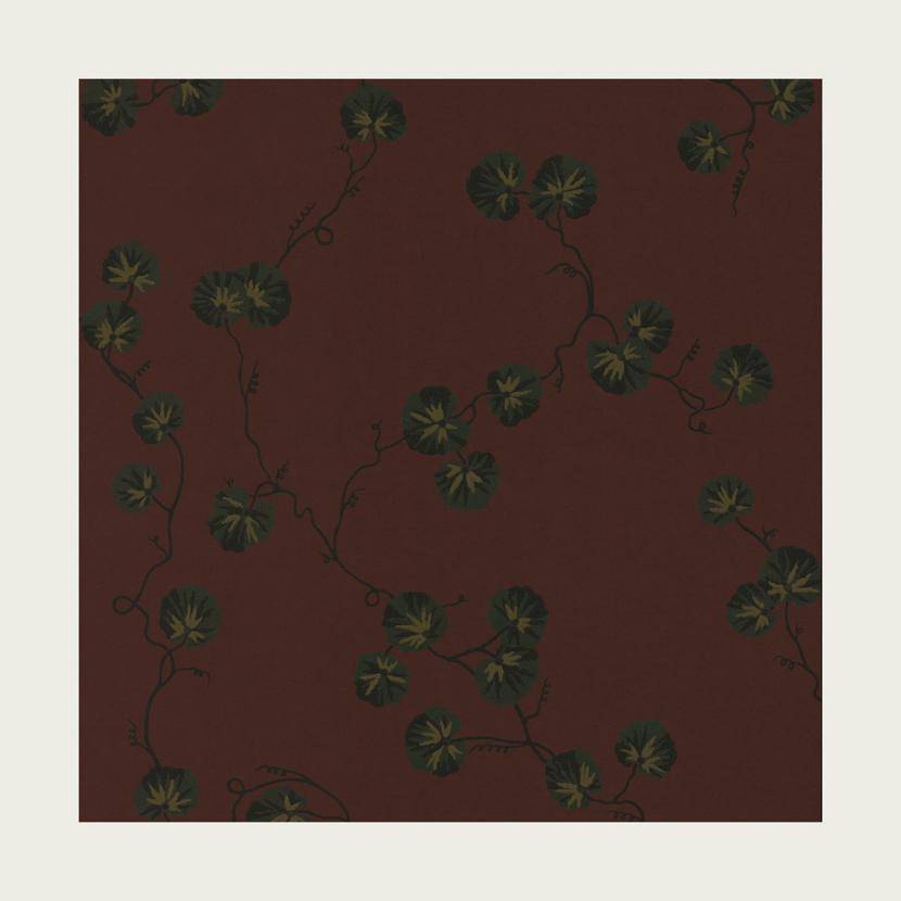 HEDERA - 04