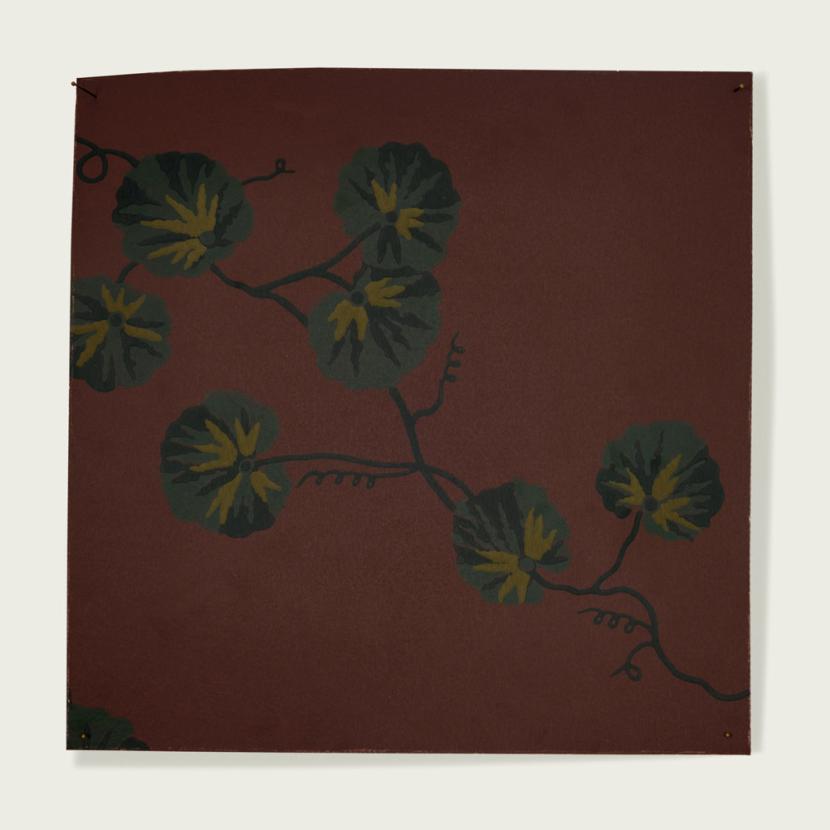 HEDERA - 04