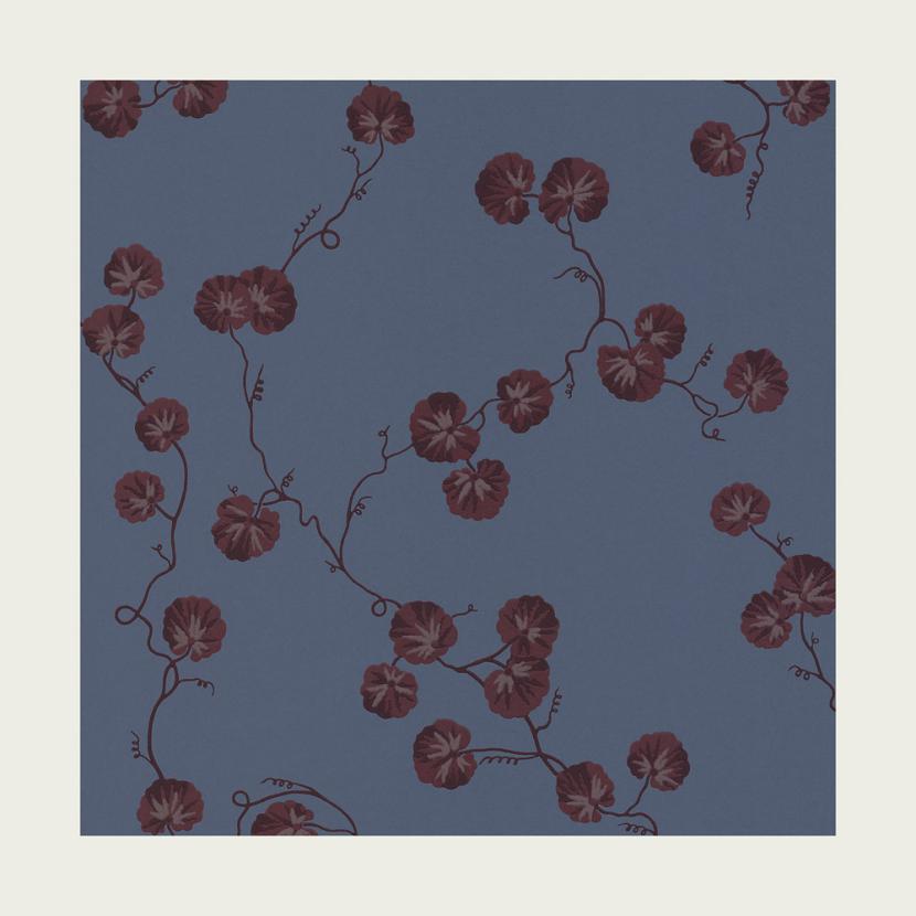 HEDERA - 05