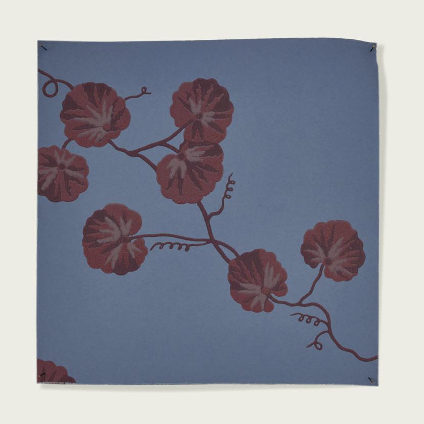HEDERA - 05