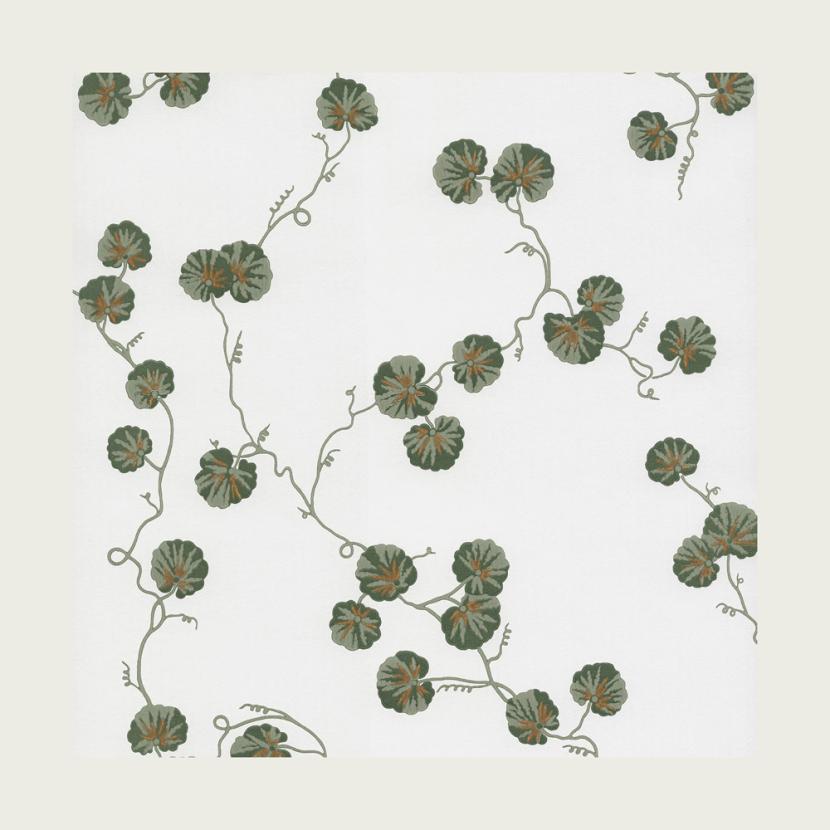 HEDERA - 06