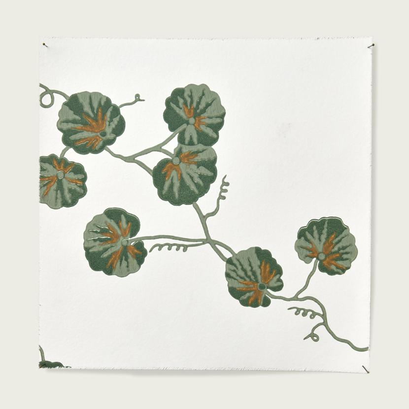 HEDERA - 06