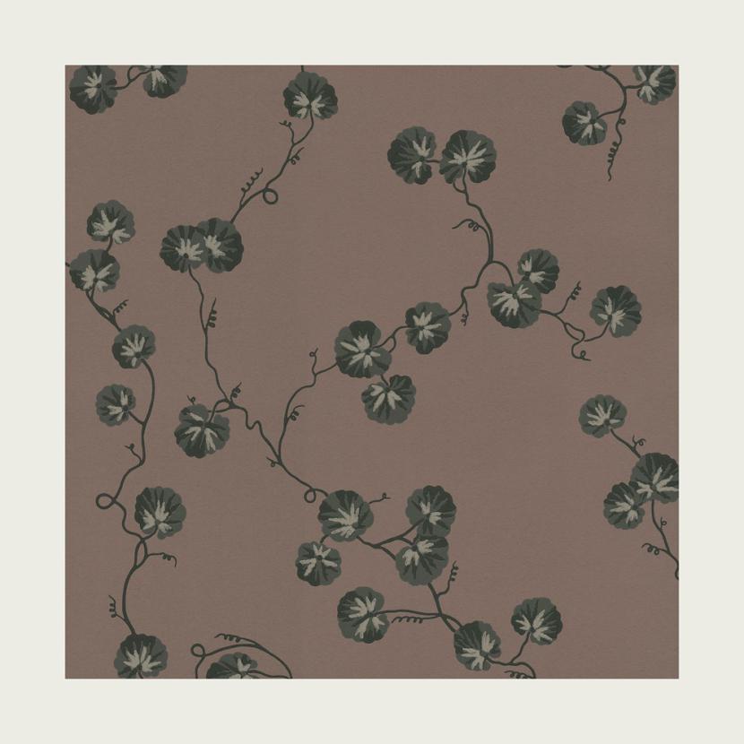 HEDERA - 07
