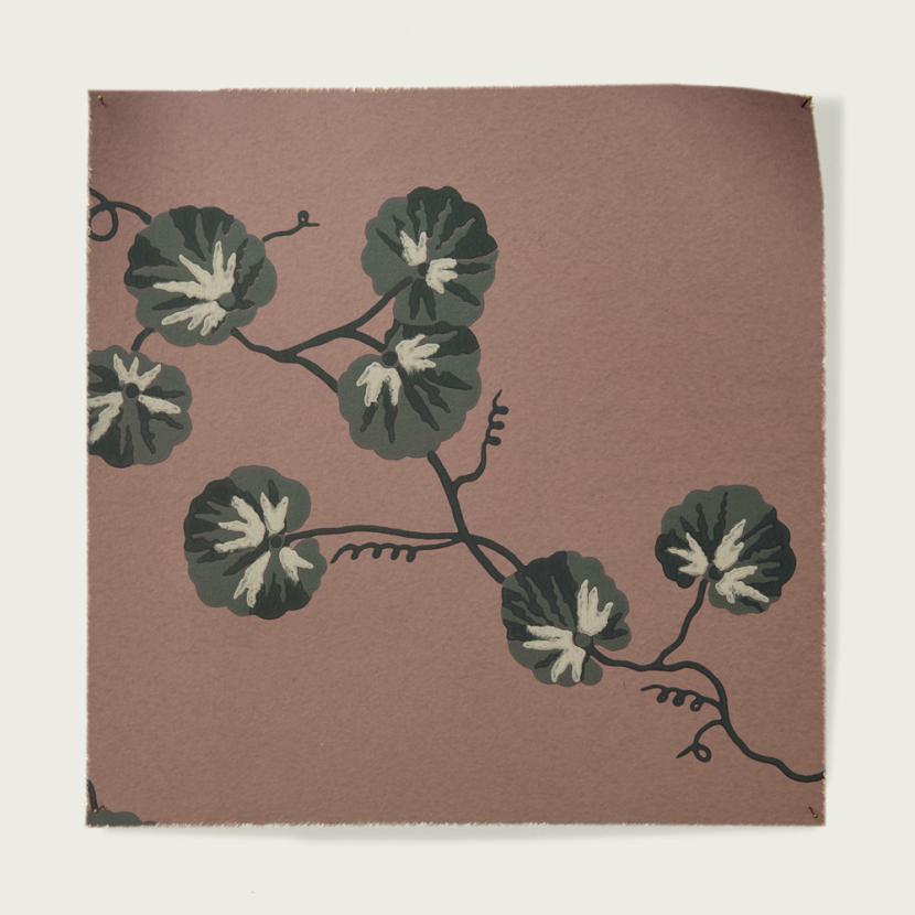 HEDERA - 07