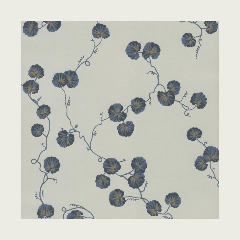 HEDERA - 08