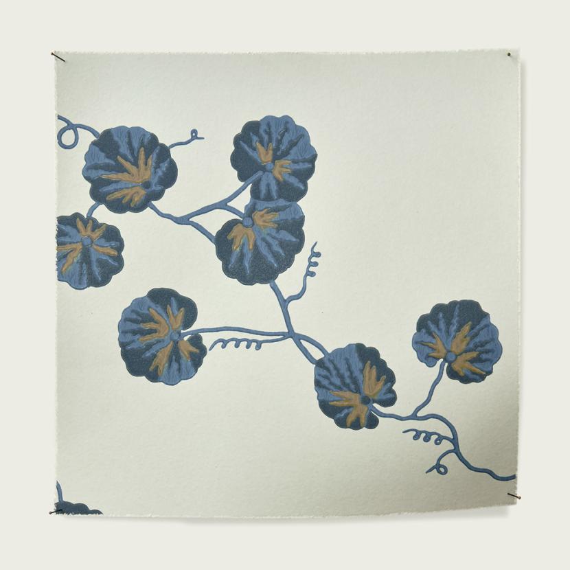 HEDERA - 08