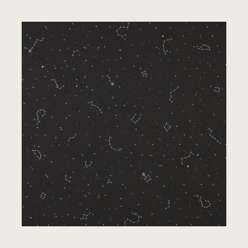IL VESPRO - 02