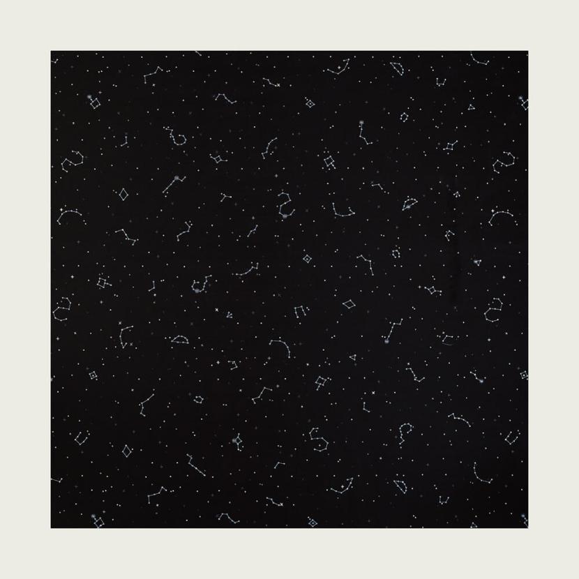 IL VESPRO - 02
