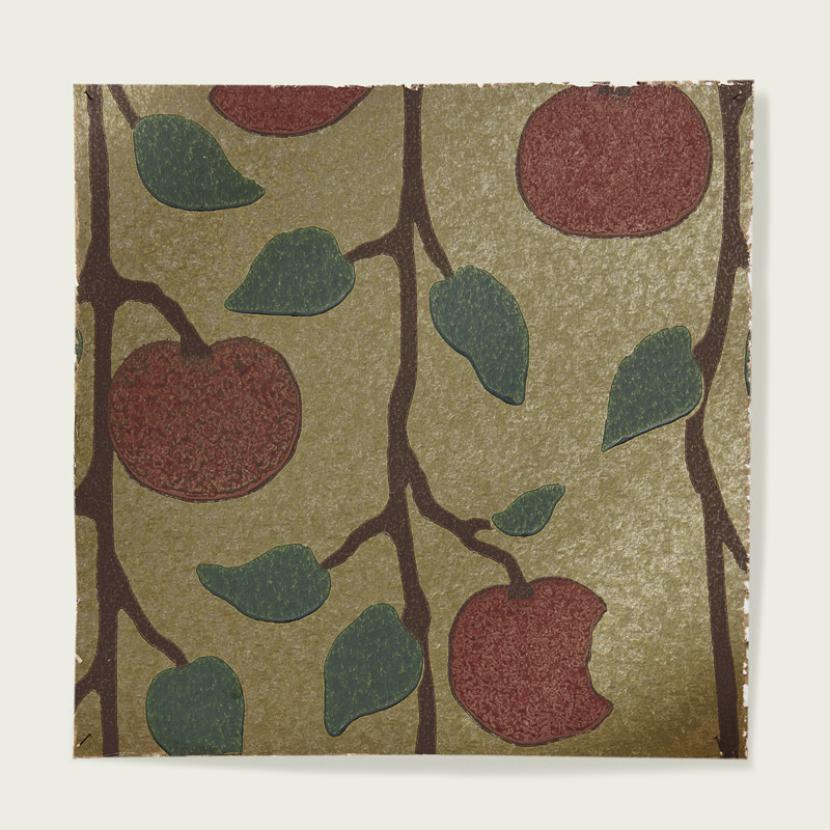 MANZANA - 01