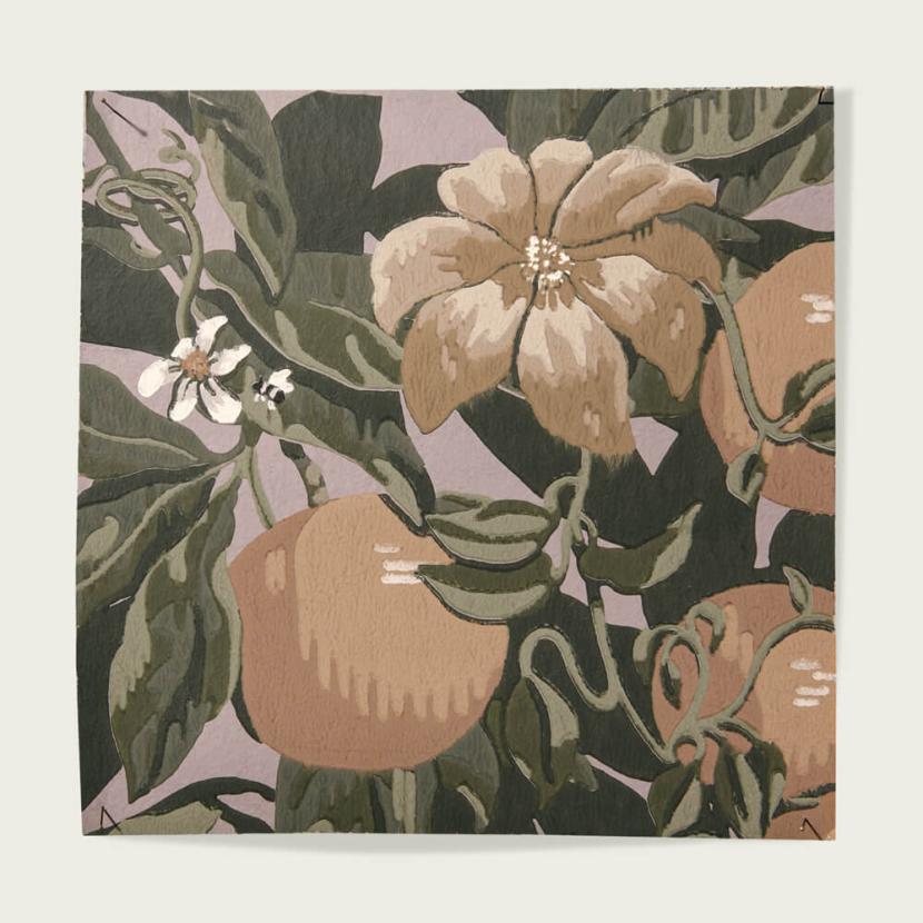ORANGERIE - 02
