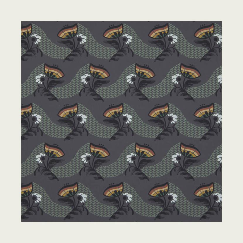 PAPAVERO - 06