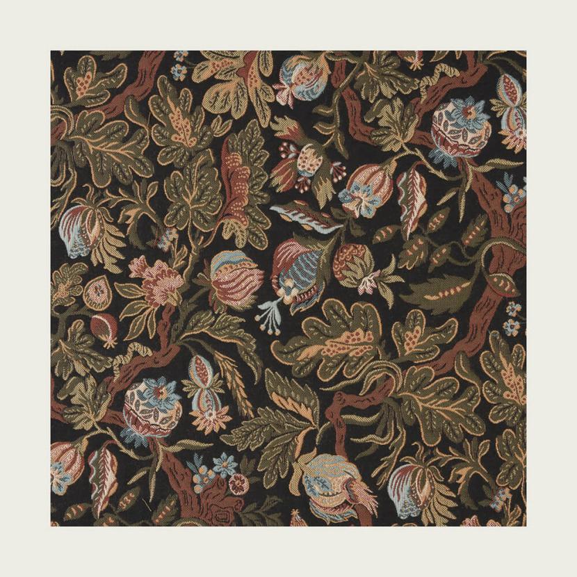 SYCOMORUS - 01