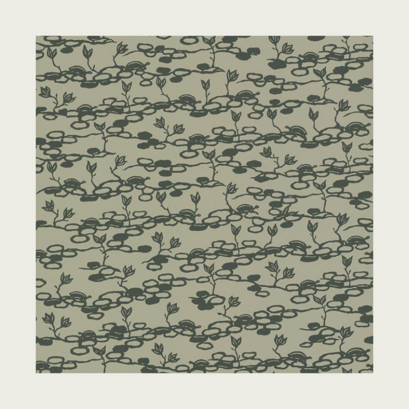 TORTUE - 01