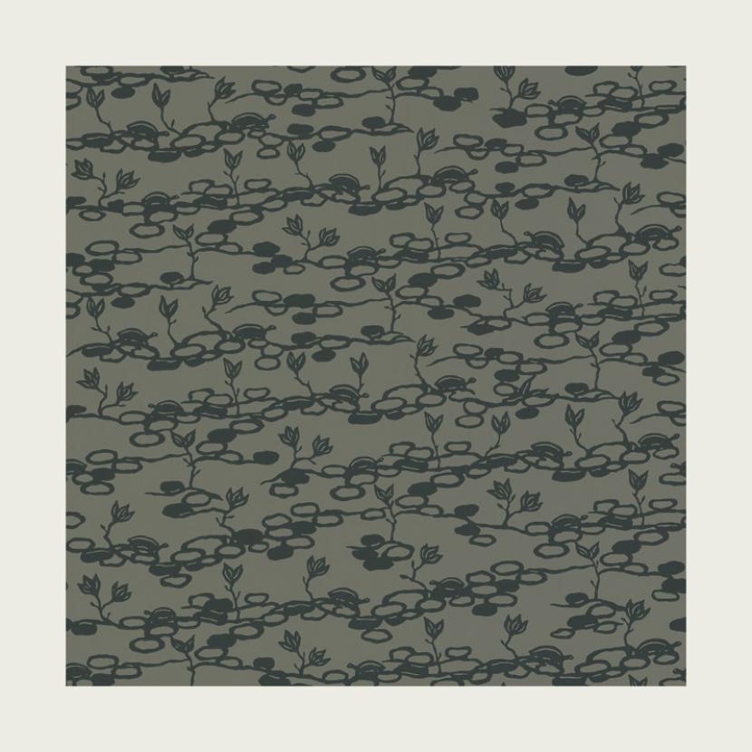 TORTUE - 02