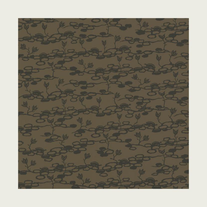 TORTUE - 03