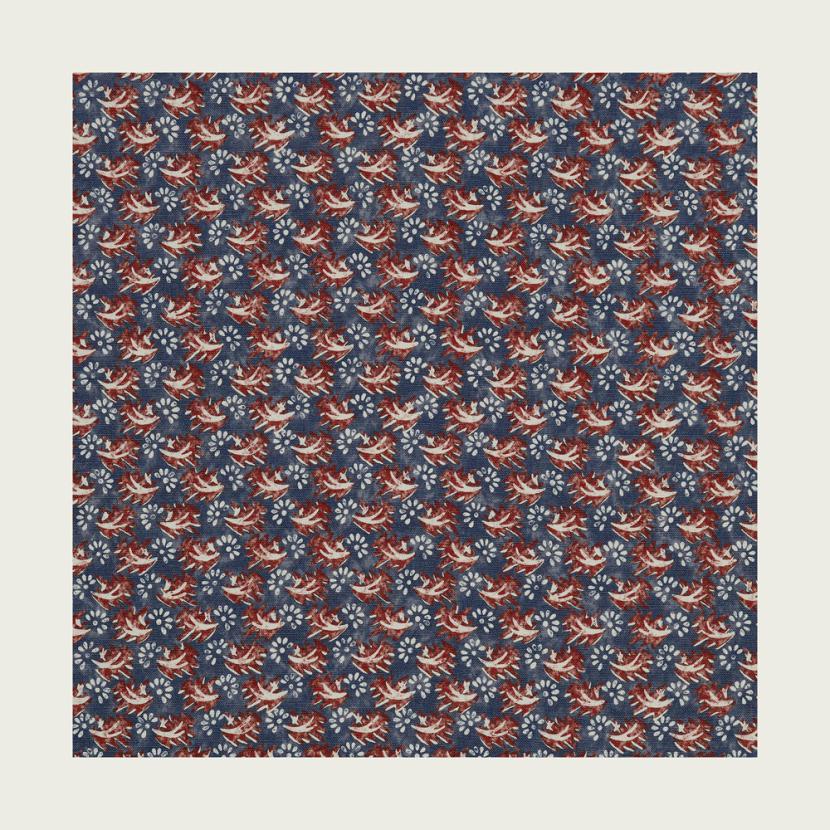 ZOA - 01